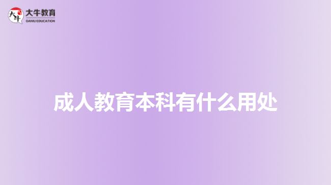 <b>成人教育本科有什么用處</b>