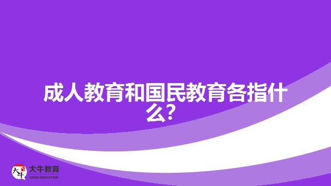 成人教育和國民教育各指什么？