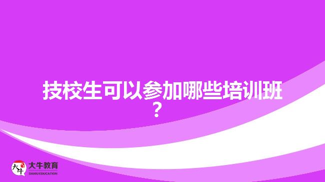 技校生可以參加哪些培訓(xùn)班？