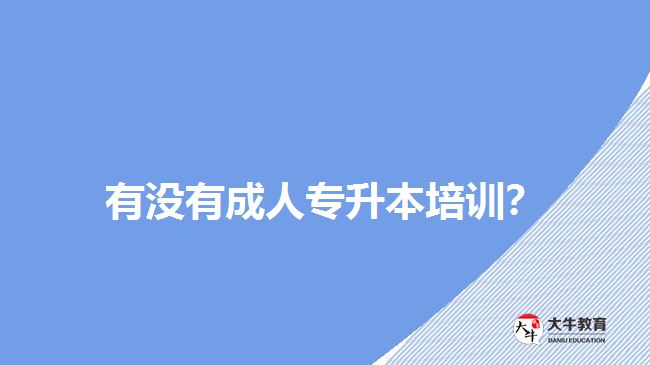 有沒(méi)有成人專升本培訓(xùn)？