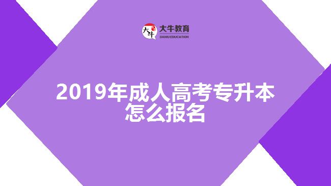 2019年成人高考專升本怎么報名