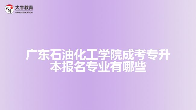 成考專升本報(bào)名專業(yè)