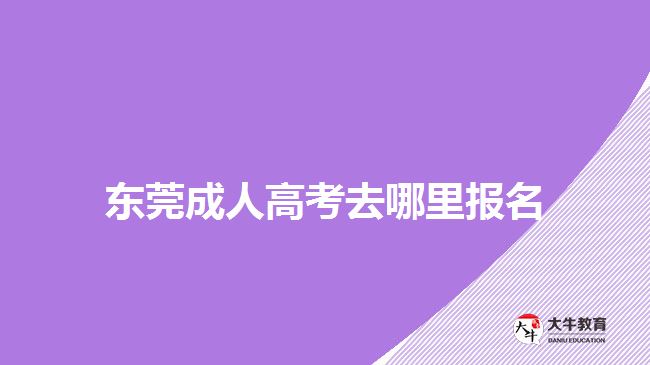 東莞成人高考去哪里報(bào)名