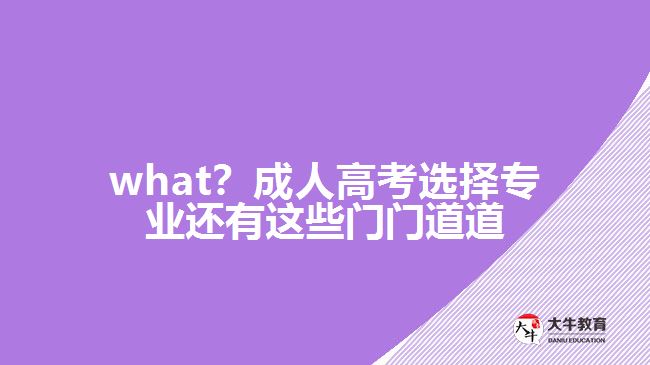 what？成人高考選擇專業(yè)還有這些門門道道