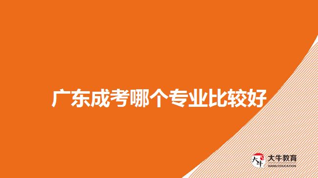 廣東成考哪個專業(yè)比較好