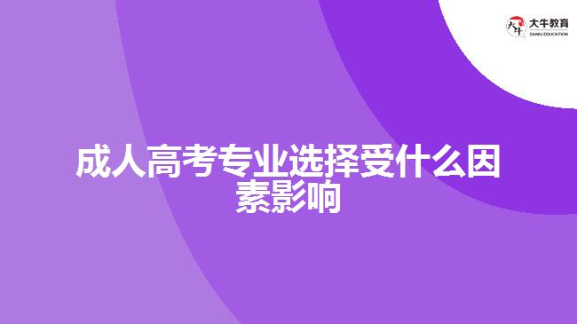 成人高考專業(yè)選擇受什么因素影響