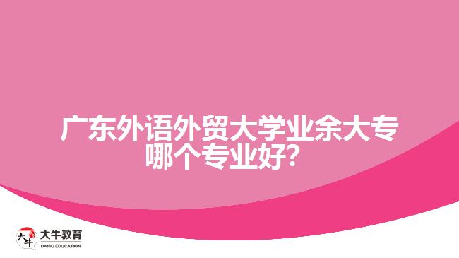 廣東外語外貿(mào)大學業(yè)余大專哪個專業(yè)好？