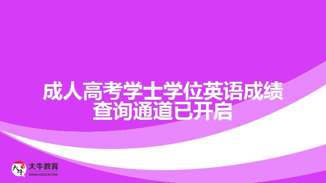 成人高考學(xué)士學(xué)位英語成績(jī)查詢通道已開啟