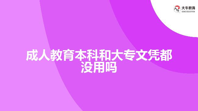 成人教育本科和大專文憑都沒用嗎