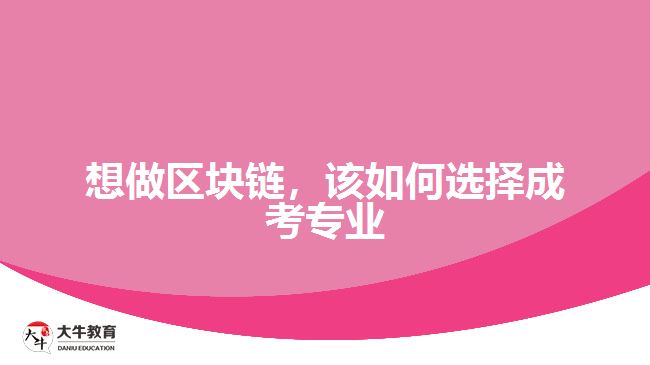 想做區(qū)塊鏈，該如何選擇成考專業(yè)