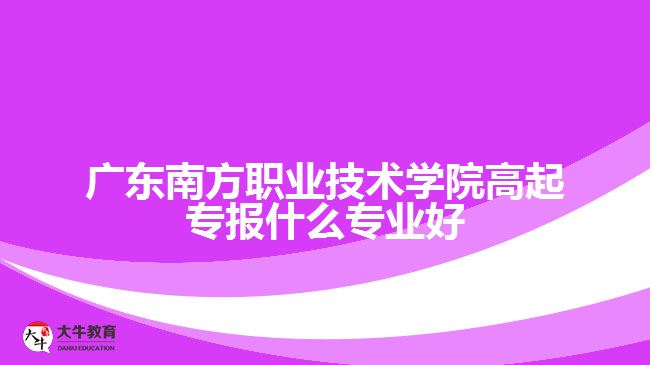 廣東南方職業(yè)技術(shù)學(xué)院高起專報(bào)什么專業(yè)好