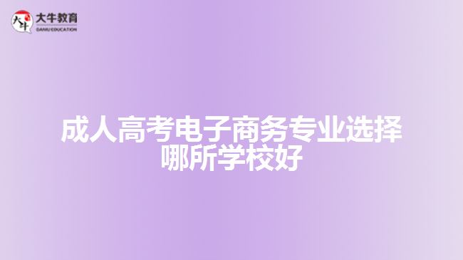 成人高考電子商務(wù)專(zhuān)業(yè)選擇哪所學(xué)校好