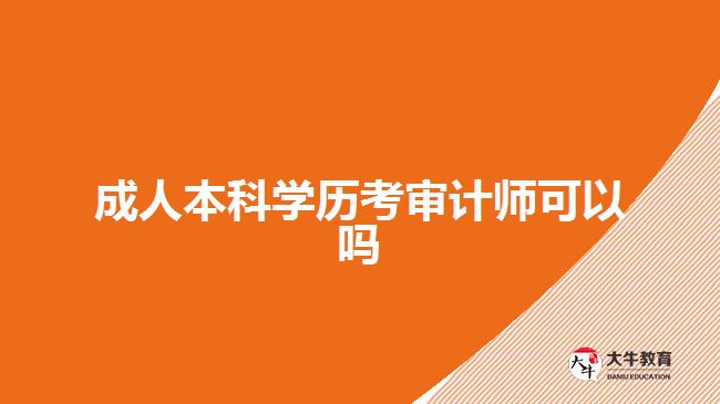 成人本科學(xué)歷考審計師可以嗎