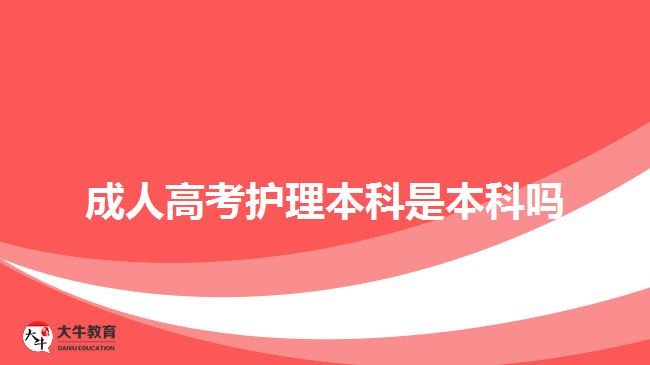 成人高考護理本科是本科嗎