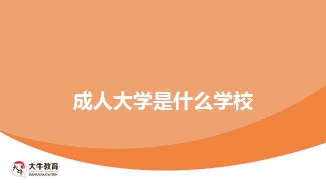 成人大學是什么學校