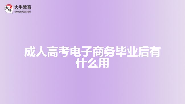 成人高考電子商務畢業(yè)后有什么用