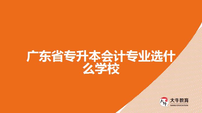 廣東省專升本會(huì)計(jì)專業(yè)選什么學(xué)校