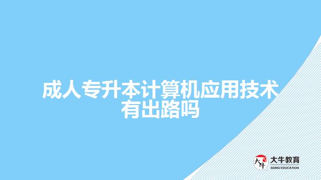 成人專升本計算機應用技術(shù)有出路嗎