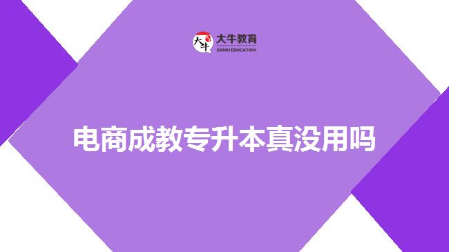 電商成教專升本真沒用嗎