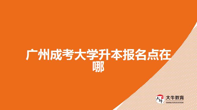 廣州成考大學(xué)升本報名點在哪