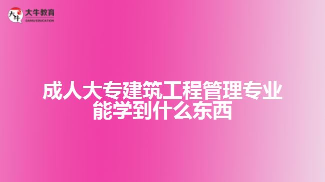 成人大專建筑工程管理專業(yè)能學(xué)到什么東西