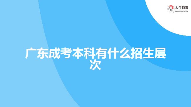 廣東成考本科有什么招生層次