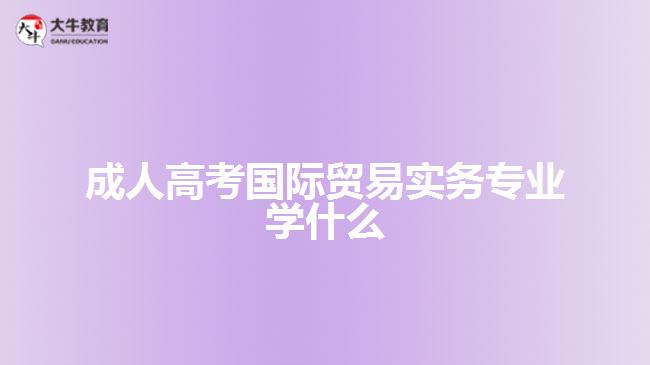 成人高考國際貿(mào)易實(shí)務(wù)專業(yè)學(xué)什么