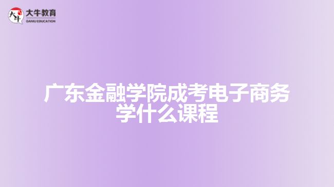 廣東金融學院成考電子商務學什么課程