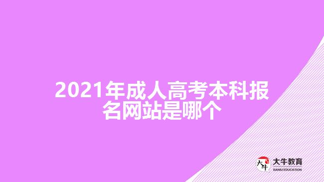 2021年成人高考本科報名網站是哪個