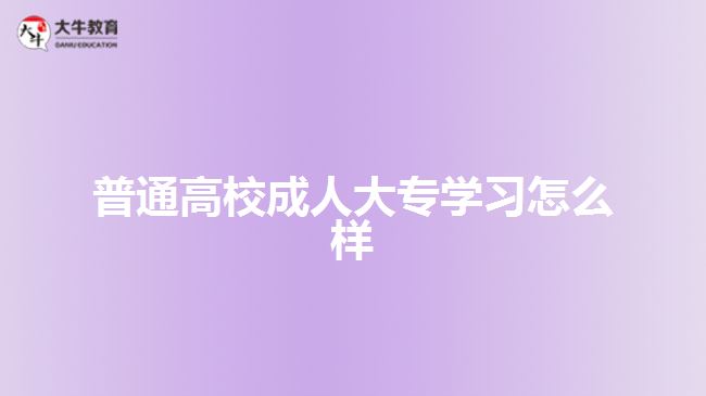 普通高校成人大專學(xué)習(xí)怎么樣