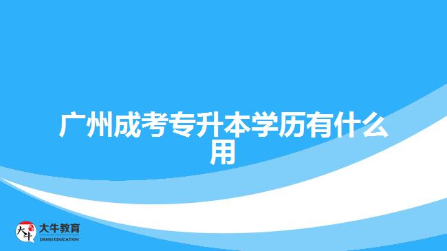 廣州成考專升本學歷有什么用