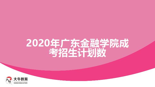 2020年廣東金融學(xué)院成考招生計劃數(shù)