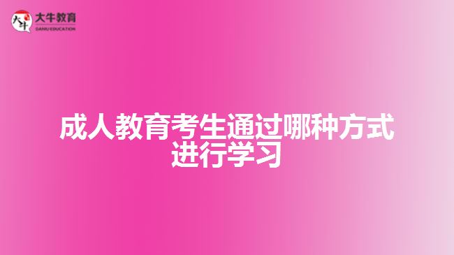 成人教育考生通過哪種方式進(jìn)行學(xué)習(xí)