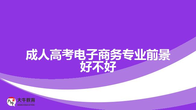 成人高考電子商務(wù)專業(yè)前景好不好