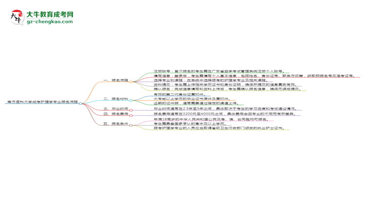 南方醫(yī)科大學(xué)成考護(hù)理學(xué)專業(yè)2025年報名流程思維導(dǎo)圖