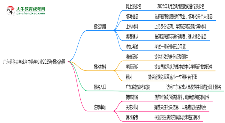 廣東藥科大學成考中藥學專業(yè)2025年報名流程思維導圖