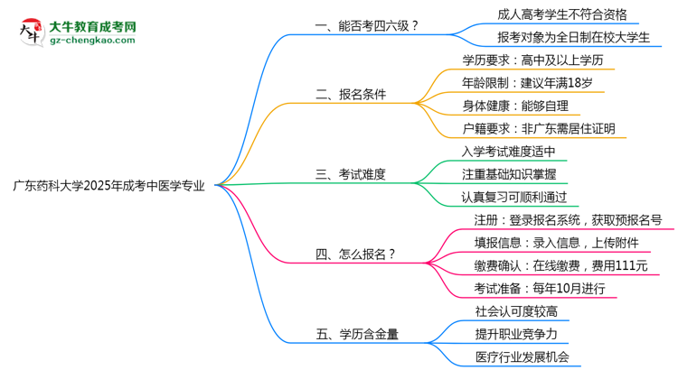 廣東藥科大學(xué)2025年成考中醫(yī)學(xué)專業(yè)生可不可以考四六級？思維導(dǎo)圖