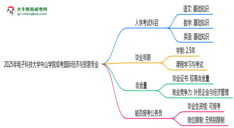 2025年電子科技大學(xué)中山學(xué)院成考國(guó)際經(jīng)濟(jì)與貿(mào)易專業(yè)入學(xué)考試科目有哪些？思維導(dǎo)圖