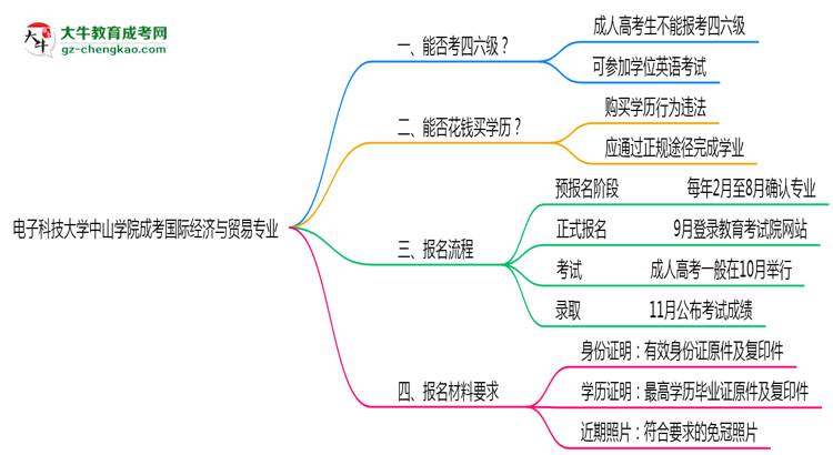 電子科技大學中山學院2025年成考國際經(jīng)濟與貿(mào)易專業(yè)生可不可以考四六級？思維導圖