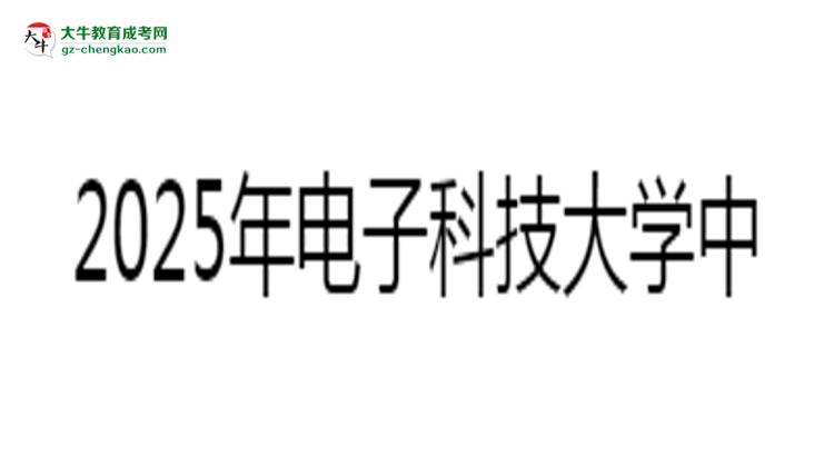 2025年電子科技大學(xué)中山學(xué)院成考計(jì)算機(jī)科學(xué)與技術(shù)專(zhuān)業(yè)能拿學(xué)位證嗎？思維導(dǎo)圖