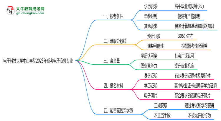 電子科技大學中山學院2025年成考電子商務(wù)專業(yè)報考條件是什么思維導圖