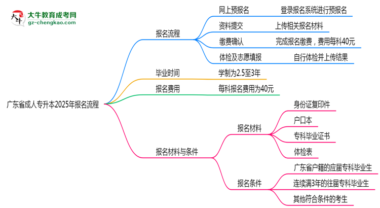 廣東省成人專升本2025年報名流程思維導(dǎo)圖