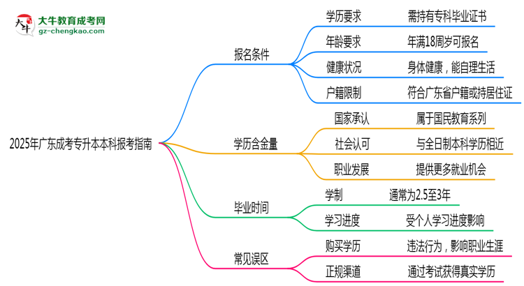 2025年廣東成考專升本本科報考指南：學歷/年齡要求必看思維導圖