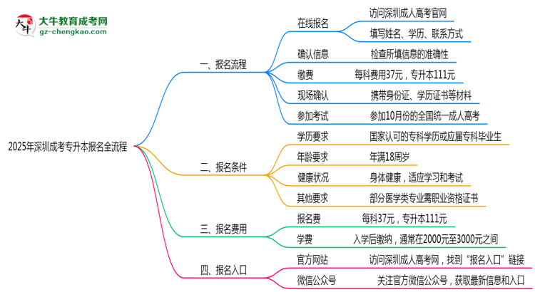 3分鐘讀懂：2025深圳成考專升本本科報(bào)名全流程思維導(dǎo)圖