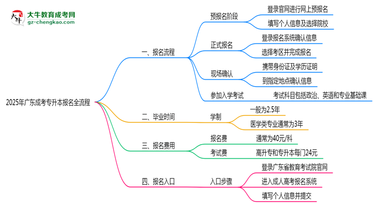 3分鐘讀懂：2025廣東成考專升本本科報(bào)名全流程思維導(dǎo)圖