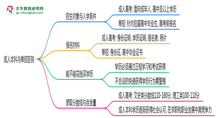 成人本科與單招區(qū)別在哪？2025年深圳考生必看對(duì)比指南思維導(dǎo)圖