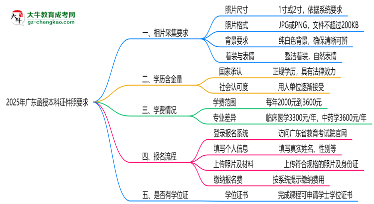 2025年廣東函授本科證件照要求:藍(lán)底/尺寸/修圖思維導(dǎo)圖