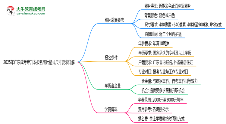2025年廣東成考專升本報名照片格式尺寸要求詳解思維導圖