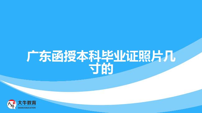 廣東函授本科畢業(yè)證照片幾寸的