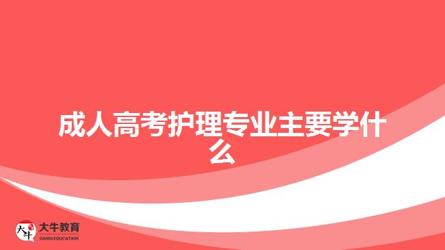 成人高考護理專業(yè)主要學(xué)什么